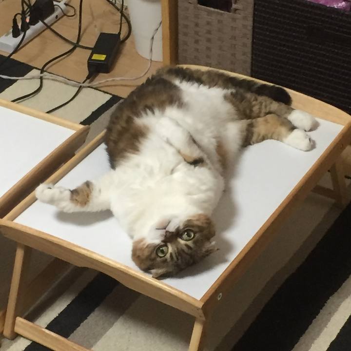 8936432f ebc5 4561 a282 ea20118be320