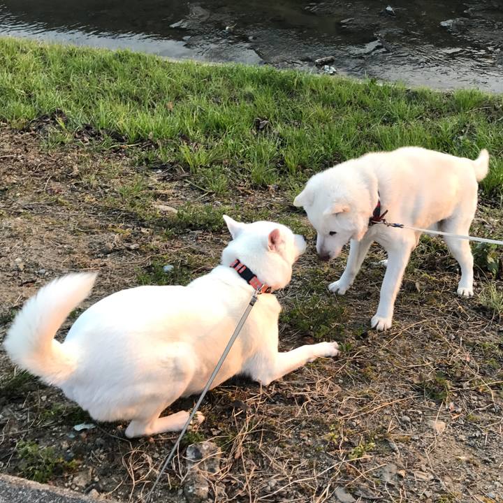 89366a00 d66c 4a31 9908 2a87a3205e69