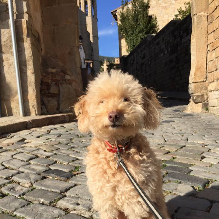 8936f9cd 2918 4175 bddf bdb37d6bbaf3