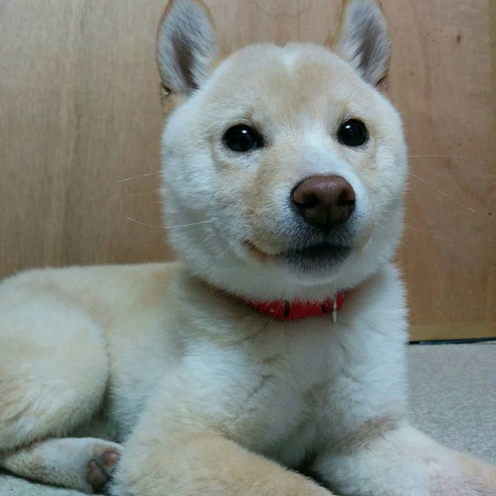 893711fa 658f 4107 a01b 7a7f4fe35b22