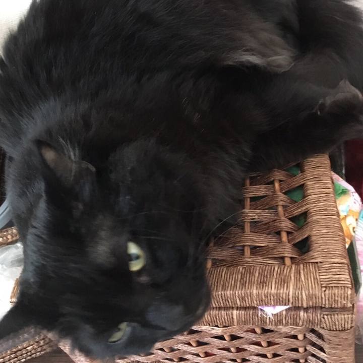 89380c27 277c 4db3 b2e7 d60dc99a93cb