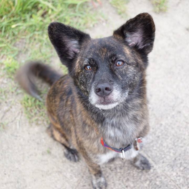 89387e04 dc60 4ff3 aae2 4500b0e9aaf0