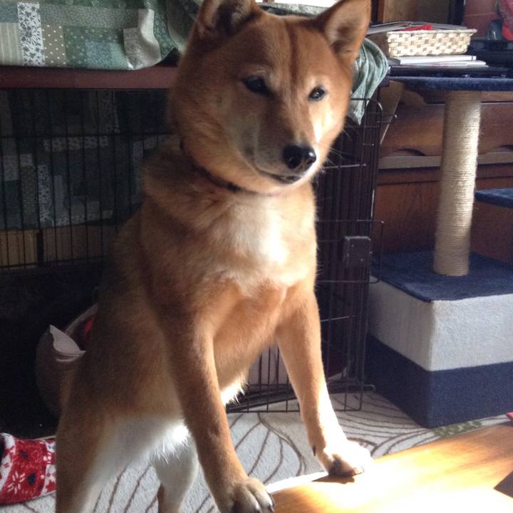 8938c7aa ada8 4f1e aebf 9d4578f9dce1