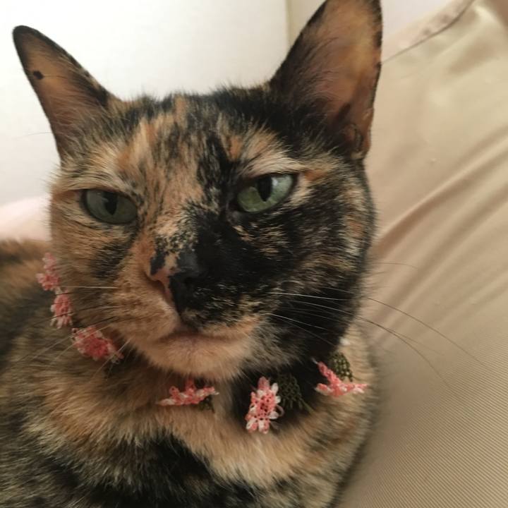 8939c42c 177e 4649 b33a 14de03f2db34