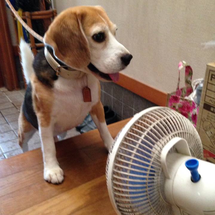 8939cc3b 20ba 44c0 8837 2795d506468a