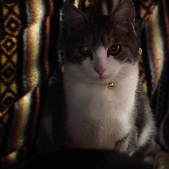 8939d5d5 79a3 4a2b 9967 1e1b6a87bfa2