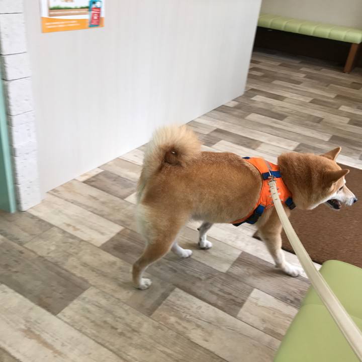 893a37da 9882 42df 8c0e 0adb8ad90eea