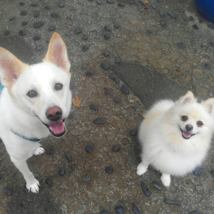 893a6515 89c0 4588 a334 d486c211aeaa