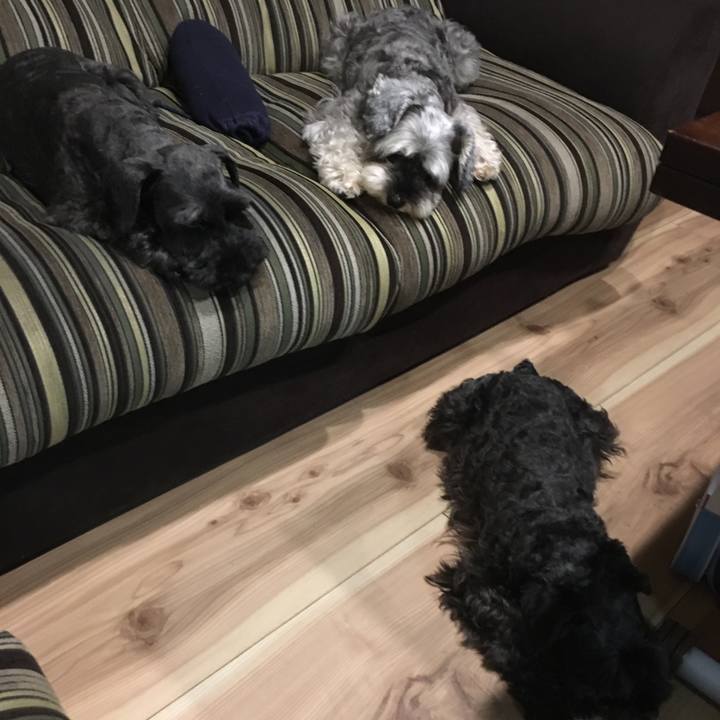 893a8c1e f02e 49f5 9949 4f57da593de6