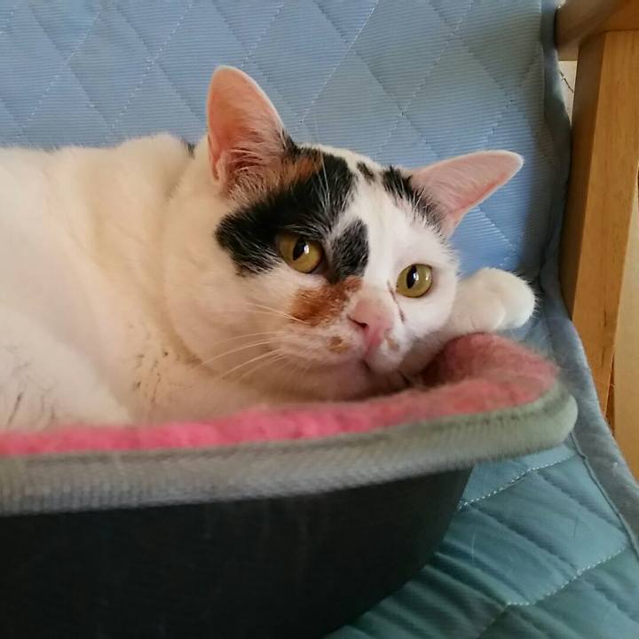 893ade16 eb17 41d7 aaf7 b70846660b24