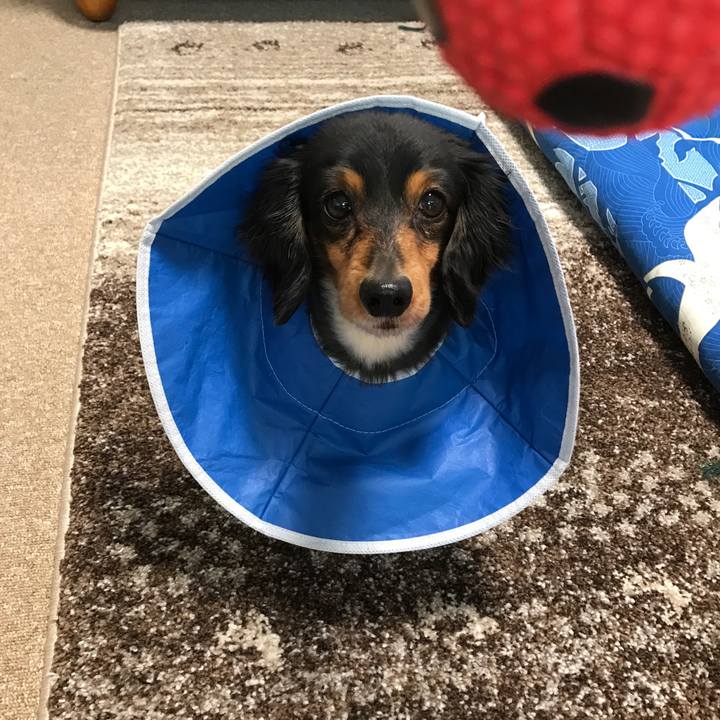 893b0f5e a647 4a6d 84ef f1b4855df1a8