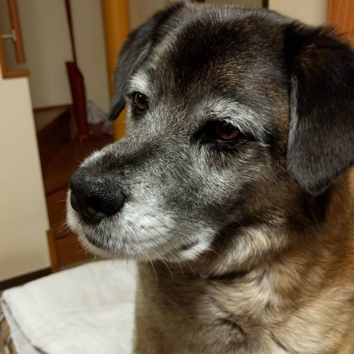 893b5a0a 8267 413a 8f61 d06906fcb091