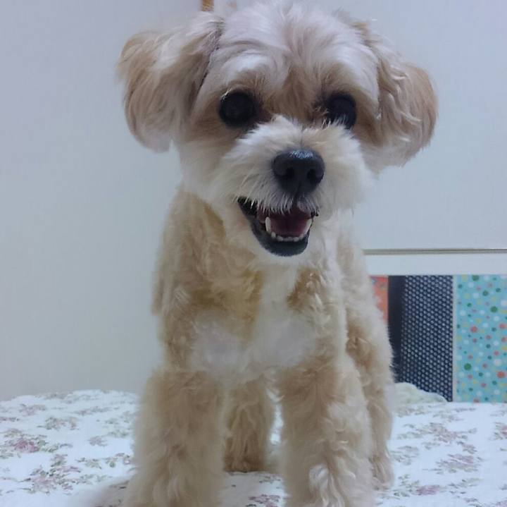 893b875e d81c 4920 a69f 722311e6dcae