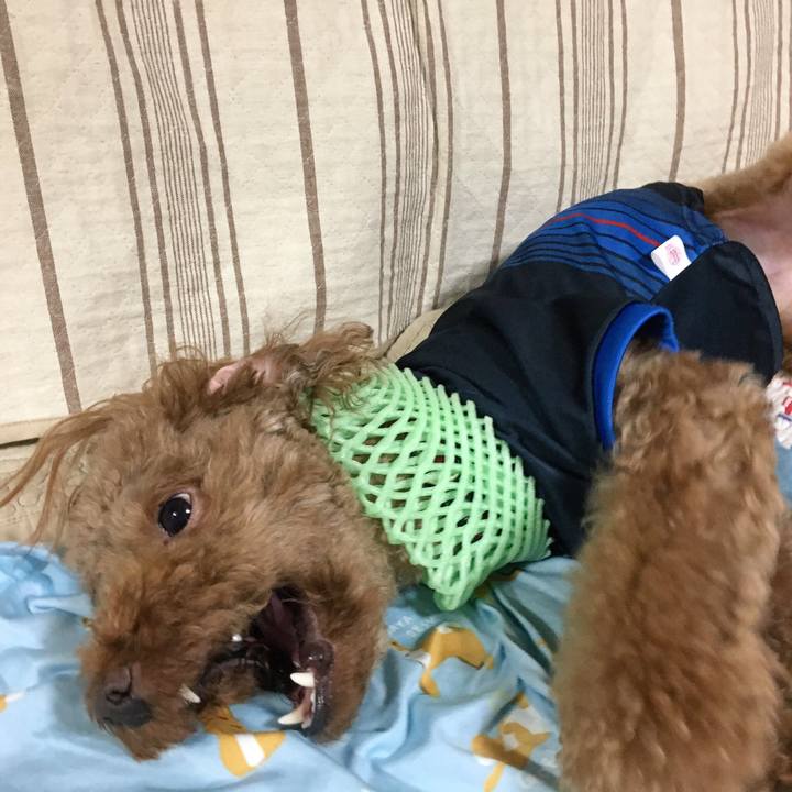 893baee1 e73c 4f75 87ac 9ffb10c5e8bf