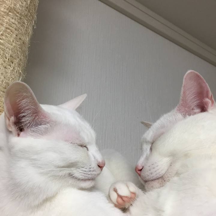 893bbd71 cc6d 4690 8818 b22e9141985d