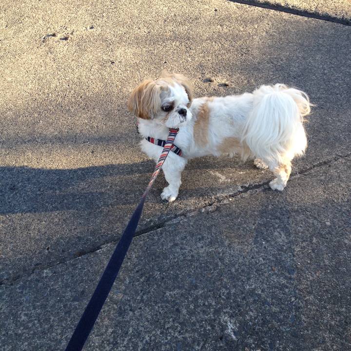 893cf4fa 2afb 4cd9 9fa4 d90e6344cb34