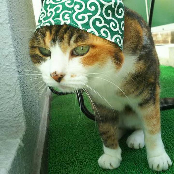 893d1649 4c0f 4584 98c6 dace64d11424