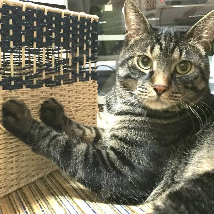 893d90ca 0d4f 4ae2 bd6e c2db743b2ab7