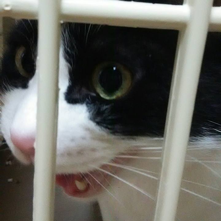 893dfc6a a160 420f 9df8 51170f0e7f6b