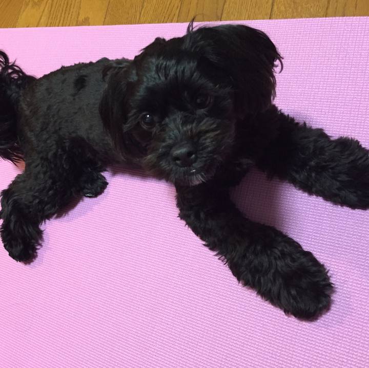 893e0bac 0f4a 4658 8172 200d11e7527f