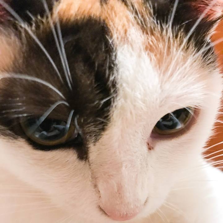 893ec599 b172 4014 a3f7 3fe71e19e219