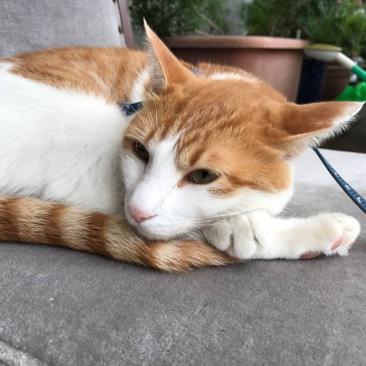 893fb1cd 6236 4c20 8246 ca77ea3f94fe