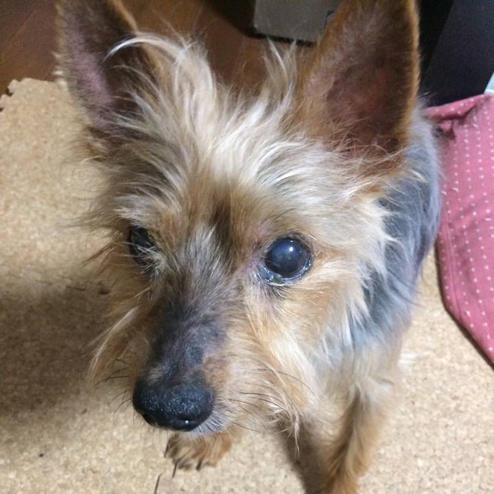 893fccf9 0058 40b7 90bb 10595b60fa03