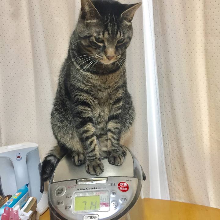 8940778a 7287 4797 bac0 8cdae197ed94