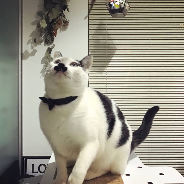 89413480 fdd5 4049 8c1e fde24e0dc224