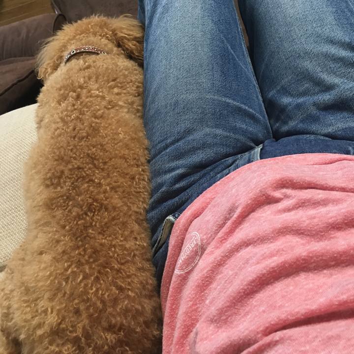 8941ccfc 2355 40d1 9bde 4aeadcdf7969