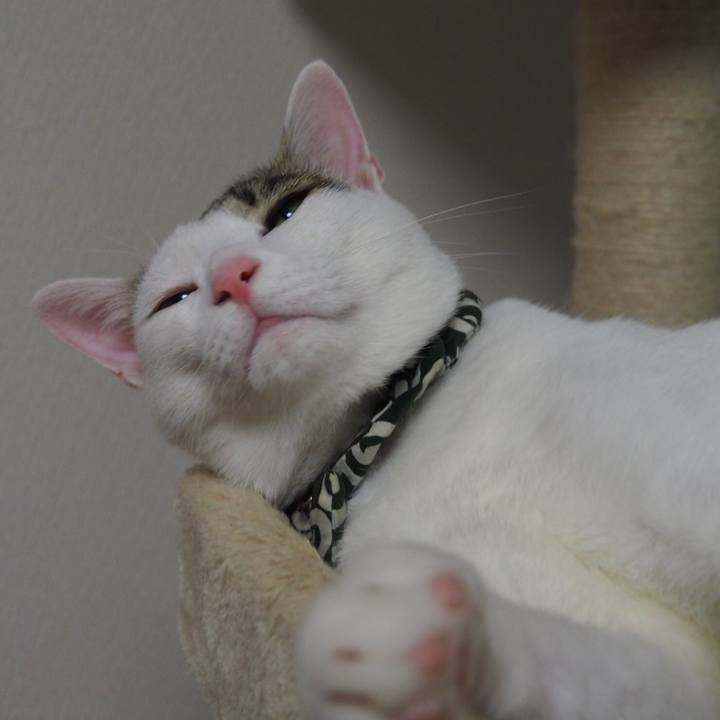 8941fa7b 4b36 4d80 802f 216830f57ed8