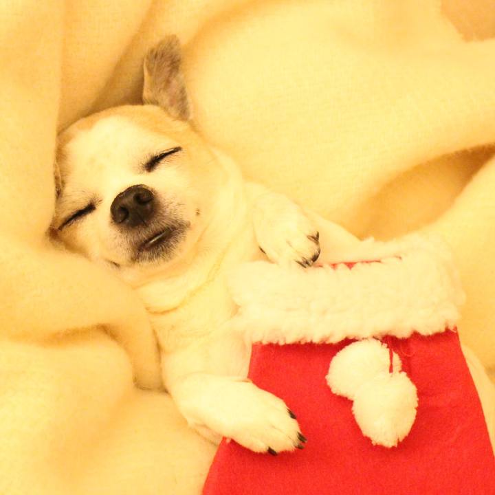 89424598 b3f1 4cc8 8318 69128902a821