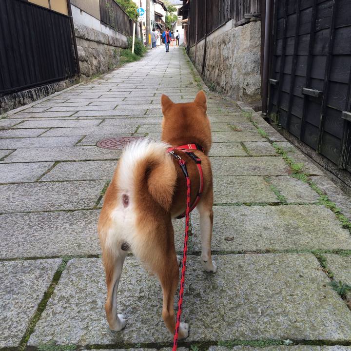 894247c4 01e9 4fce 9255 79acd3870892