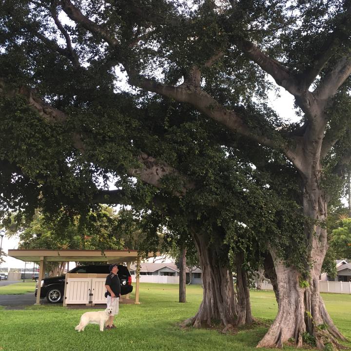 89425251 11a6 4945 962a 177ad8726f35