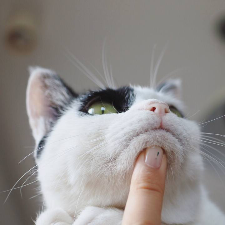 89430024 a921 4e57 8941 ce733cadbcf4