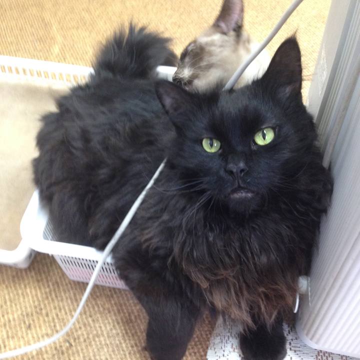 8944e392 2ee6 4efd b6bb 965c69e69c2f