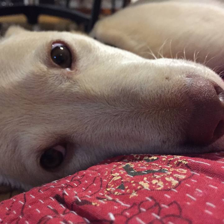 89451989 5418 4007 8ffb 4473ecb71d5d