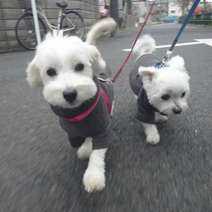 89452226 bc17 40a2 ac67 cb00d741032c