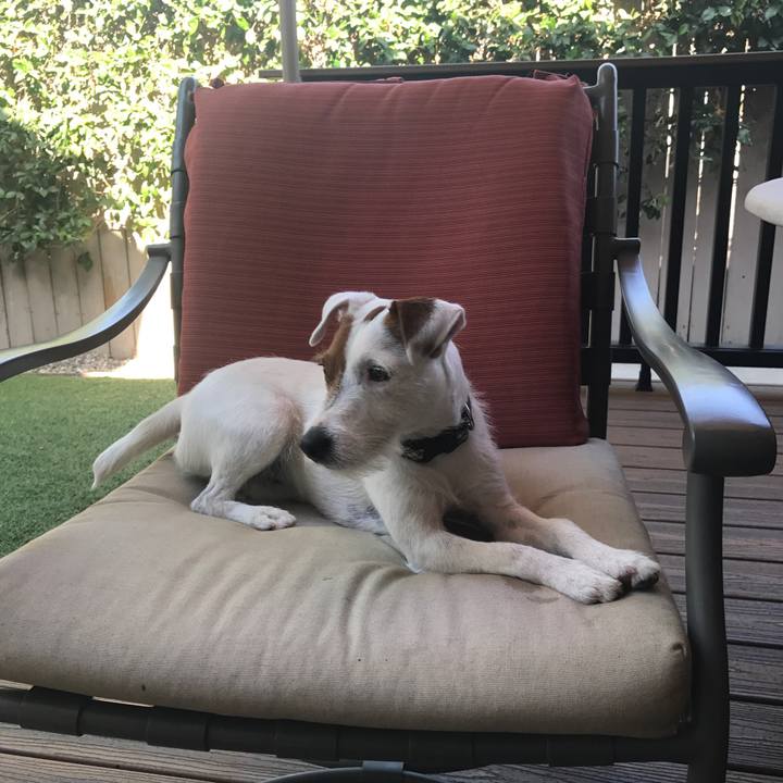 8945ded0 79e3 4827 a456 7faaca5c1163