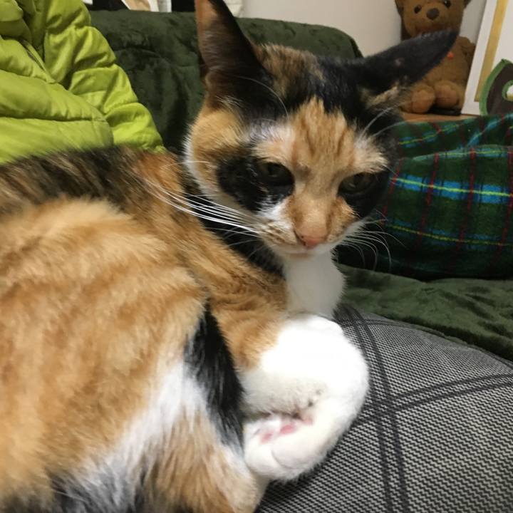 8945eaf0 cc4d 4656 a3de 9646d13468fa