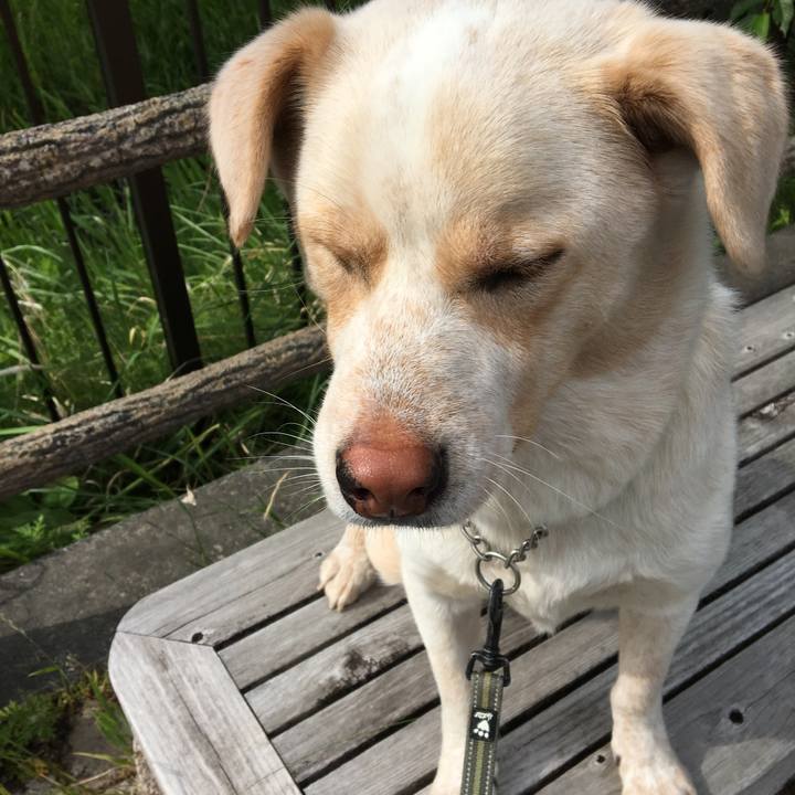 89463f89 979c 432e bd41 5659e6d67ad9