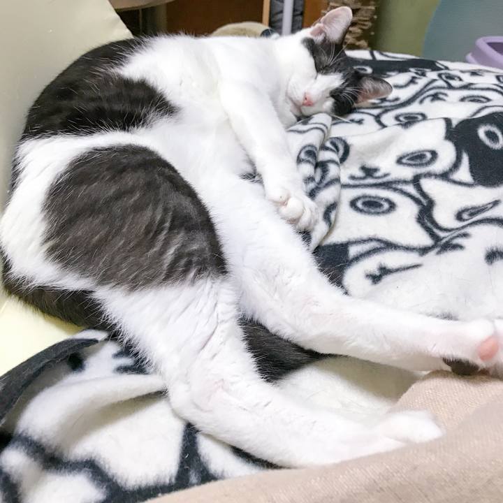 89464dd6 3bc4 454f 9233 8b950798eb06