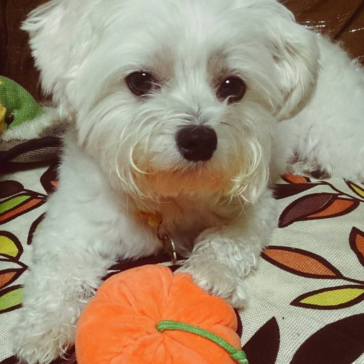 8946faed 6f58 41ca 9b01 46eae0dffa33