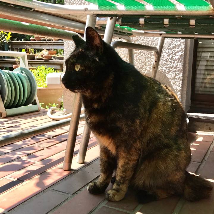 89477b6f e12e 49e5 99cd 1e8f79d9000d