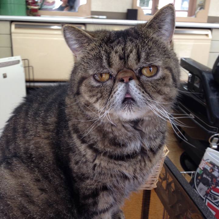 894795f7 1931 4d5f ac6f 9d42eb466994