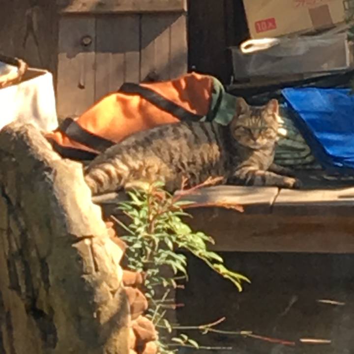 8947f2d7 791e 4114 8b5c 184d25399268