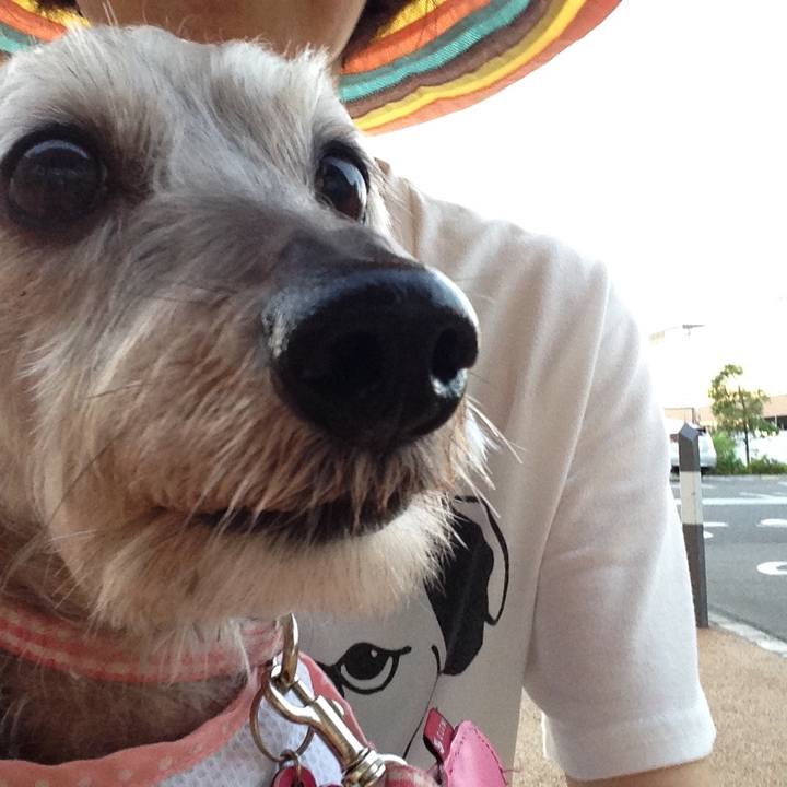 8947f394 15bb 4012 8bc8 d07c4ee4ae29