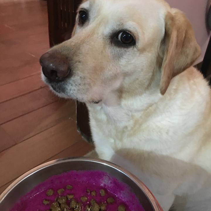 894827b5 ca6d 4448 9632 bf92f68b904d