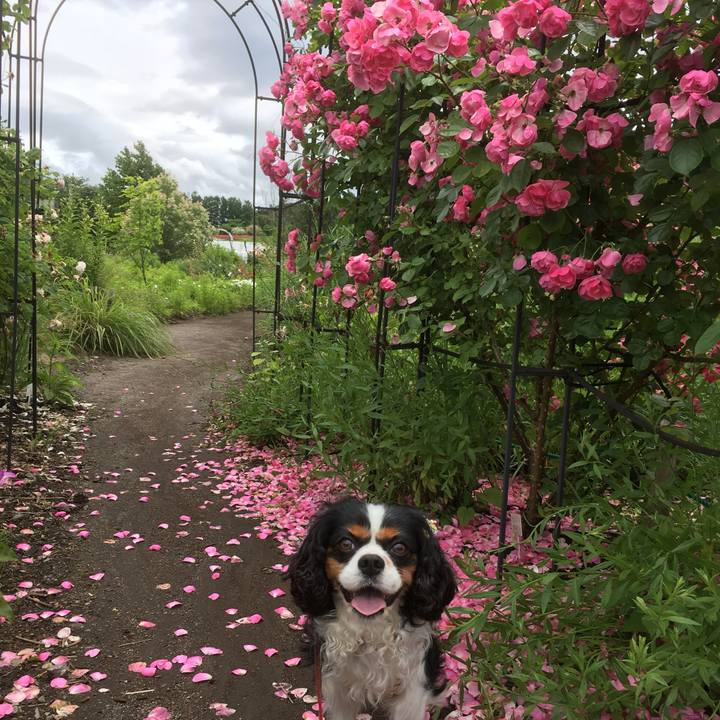 894890dd d682 470e a713 67125601c8c8