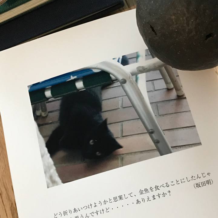 89490acd 9851 4169 b6e4 d09bf740457f